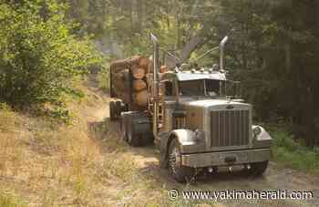 Saturday Soapbox: Lack of foresight comes home to roost in the forest - Yakima Herald-Republic