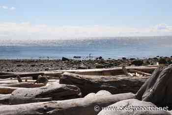 Forest baths and other people's shoes - Coast Reporter