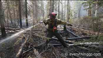 Grande Prairie Forest Area wildfire danger now moderate - EverythingGP