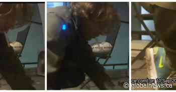 Calgary police on hunt for balcony-scaling trespasser in city’s southwest