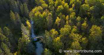Minnesota company aims to help families tap into carbon markets to conserve forests