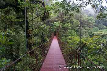 5 Reasons You’ll Fall In Love With Costa Rica’s Incredible Cloud Forest - TravelAwaits
