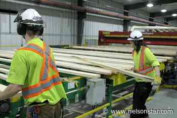 'Disrespectful': BC First Nations blast NDP's forest renewal effort – Nelson Star - Nelson Star