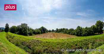Alte Kaute in Heppenheim: Nicht sicher vor Hochwasser? - Echo Online