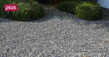 Schottergärten sind in Heppenheim nicht gerne gesehen - Echo Online