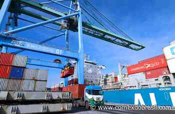 Porto de Imbituba tem alta de 19,45% na movimentação de cargas em agosto e de 15,44% no acumulado do ano - Comex do Brasil