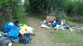 Puliamo il Mondo 2021: anche i volontari ALA di Legnano parteciperanno - Settenews