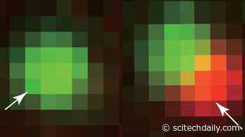 Framework for Engineering Living Cells Inspired by the Math That Describes How Bubbles Form in a Glass of Champagne