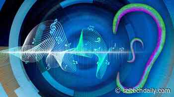 Earless Worms Can “Listen” – Sense Sound Waves Through Their Skin