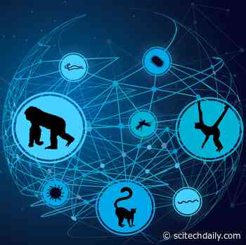 Looming Extinction Crisis: If Endangered Primates Disappear, So Will Their Parasites. That’s Actually a Problem