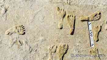 Oldest human footprints in North America found in New Mexico