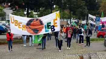 Bis zu 150 Teilnehmer sind beim „Klimastreik“ in Sulingen dabei - kreiszeitung.de