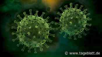 Inzidenzwert im Kreis Stade sinkt deutlich unter 40 - Landkreis Stade - Tageblatt-online