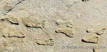 Newly Discovered Fossil Footprints Suggest Humans Were in North America 21,000 Years Ago