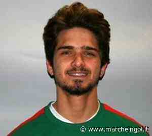 PRIMA D. Tra AFC Fermo e Sangiorgese un derby ben giocato - marcheingol.it