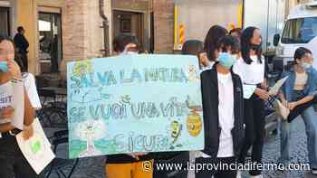 I giovani vogliono una Fermo sempre più verde. Legambiente: un parco urbano sotto la Betti, Provincia e Comune dicano sì - Laprovinciadifermo.com