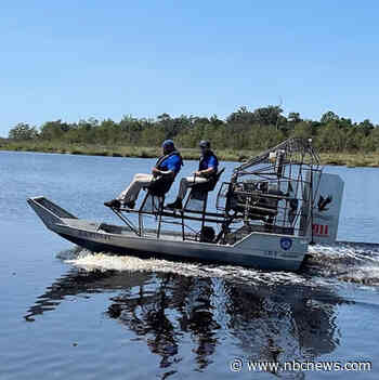 Remains of Louisiana man missing after Hurricane Ida found inside 504-pound alligator