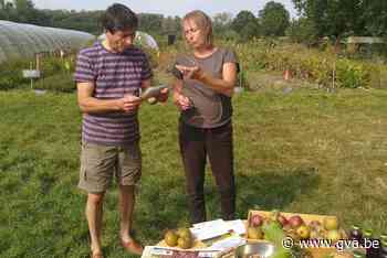 Plukboerderij start met nieuw initiatief voor samenaankoop (Schelle) - Gazet van Antwerpen