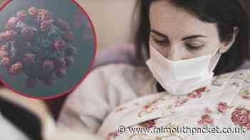 Coronavirus in Cornwall round-up: Saturday, September 25 2021 - Falmouth Packet