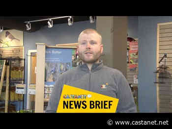 Local birdwatcher turns passion into business, opens storefront - Kamloops News - Castanet.net