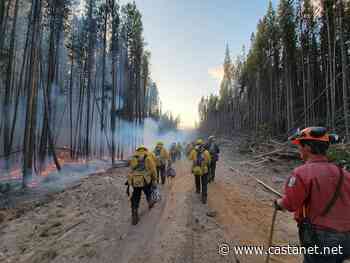 TRU study recommends revamped communications for wildfire service - Kamloops News - Castanet.net