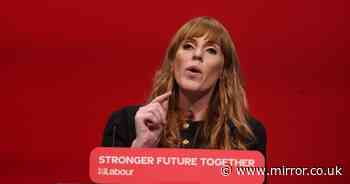 Angela Rayner blasts 'vile Banana Republic scum' in conference attack on Tories