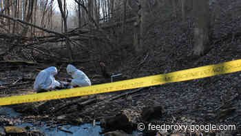 Statisticians Reveal the Number of Serial Killers That Were Never Caught During The 20th Century