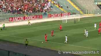 Lucchese in campo nella trasferta con l'Ancona Matelica: Coletta e Semprini in panchina (0-0) - Luccaindiretta - Luccaindiretta
