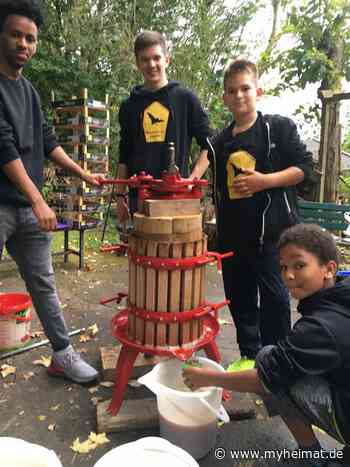 Frischer Apfelsaft aus eigener Presse - Frankenberg (Eder) - myheimat.de - myheimat.de