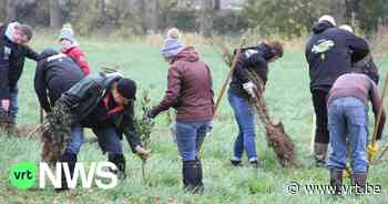 Ondernemers zetten hun schouders onder het Grootste Bos in Bocholt - VRT NWS