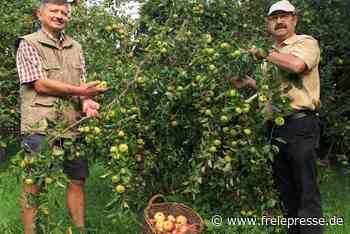 Warum jeder Zuzügler in Waldkirchen einen Apfelbaum geschenkt bekommt - Freie Presse