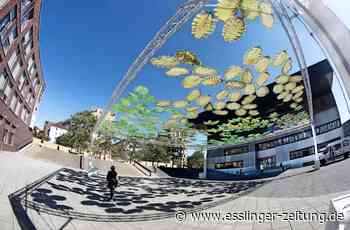 „Wald auf Zeit“ im Scharnhauser Park - Zarte Blätterkunst gegen Zerstörung - esslinger-zeitung.de