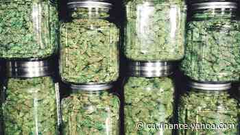 ACB Stock: What Can Investors Expect From Aurora Cannabis in the June Quarter? - Yahoo Canada Finance