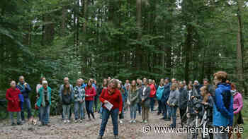 Traunstein: Die Bürger Traunsteins wollen ihren Wald behalten - „Wir für den Wald TS“ - chiemgau24.de