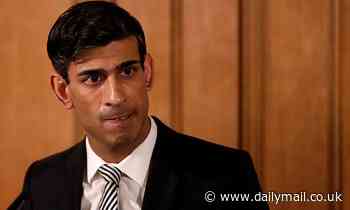 Rishi Sunak vetoes Government move to introduce new tax on junk food - Daily Mail