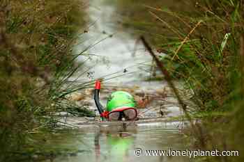 The best time to visit Wales for food, hiking or bog snorkeling - Lonely Planet Travel News