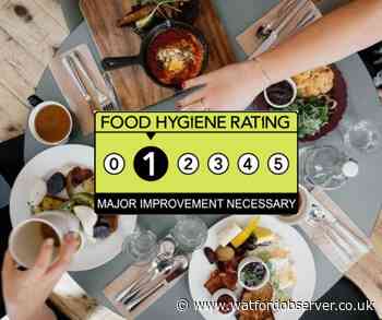 Food hygiene rating: 'Major improvement' for Bushey restaurant - Watford Observer