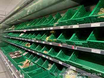 One in six unable to buy essential food items in past two weeks, survey suggests - The Independent