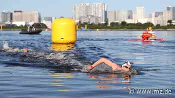 Olympiasieger Wellbrock und Spiwoks mit Europacup-Siegen - Mitteldeutsche Zeitung