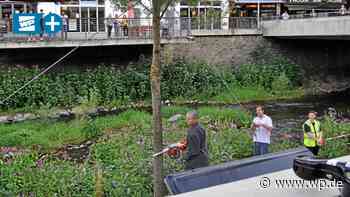 Siegen: Baumfällung an Sieg – Diskussion über Lena Hugger - Westfalenpost