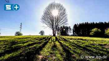 Waldspa-Rundgänge in Siegen: „Überhaupt nichts Esoterisches“ - Westfalenpost
