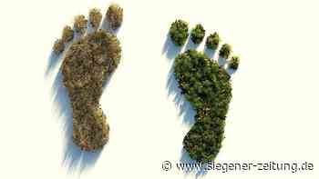 Weltklimatag: Im Kleinen sind die Menschen in der Region längst aktiv - Siegener Zeitung