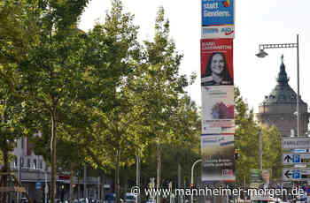 Wer holt das Direktmandat in Mannheim? - Mannheim - Nachrichten und Informationen - Mannheimer Morgen
