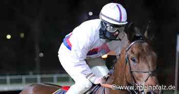 Anna van den Troost in Mannheim in sechs Rennen im Sattel - Pferdesport - Rheinpfalz.de