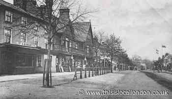 1900 picture illustrates call for more trees in Epping High Street