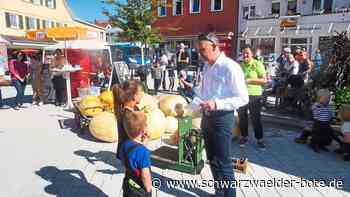 Prämierung in Altensteig: Siegerkürbis wiegt fast 120 Kilo