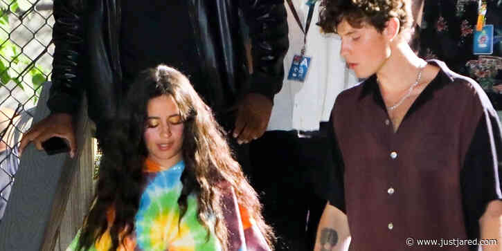 Shawn Mendes & Camila Cabello Hold Hands After Global Citizens Festival Performance