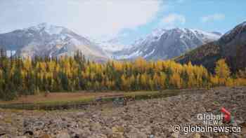 Fun ideas for fall excursions in Alberta