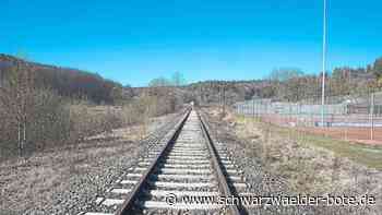 Gemeinderat Ostelsheim: Hesse-Bahn wird  mit Batteriehybridantrieb fahren