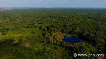 Drone footage shows immense scale of search area in Brian Laundrie hunt
